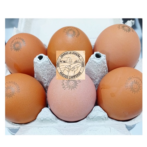 6 huevos camperos L
